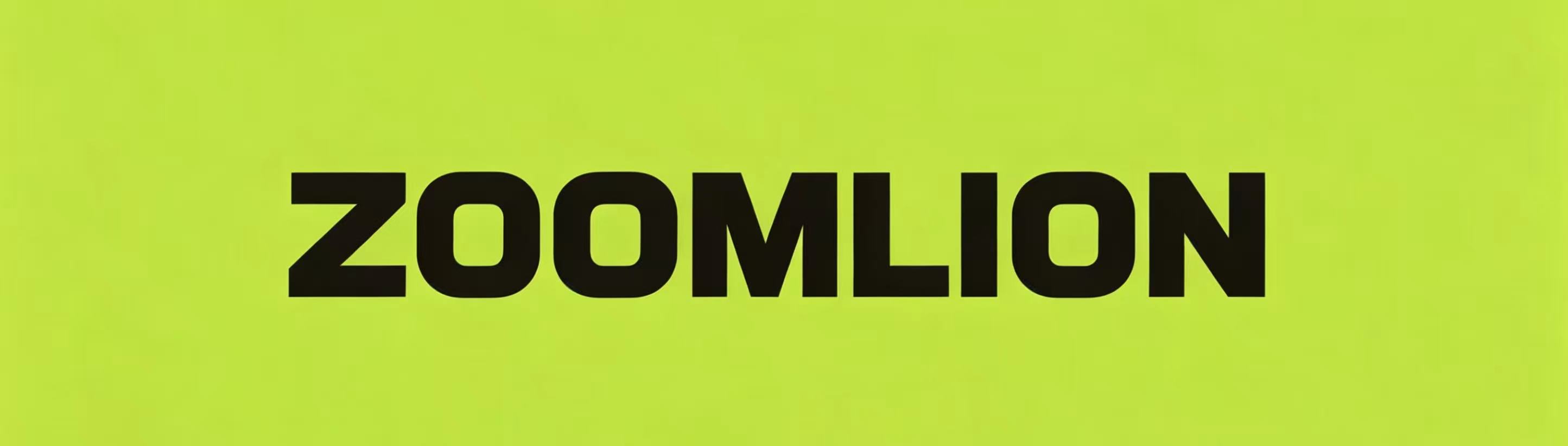 中联重科 ZOOMLION